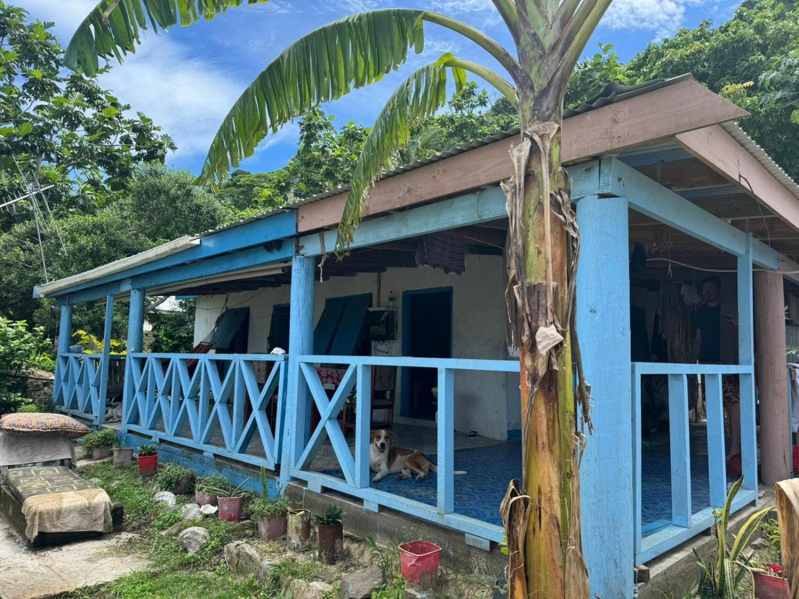 Lusis Homestay Lautoka Exterior photo
